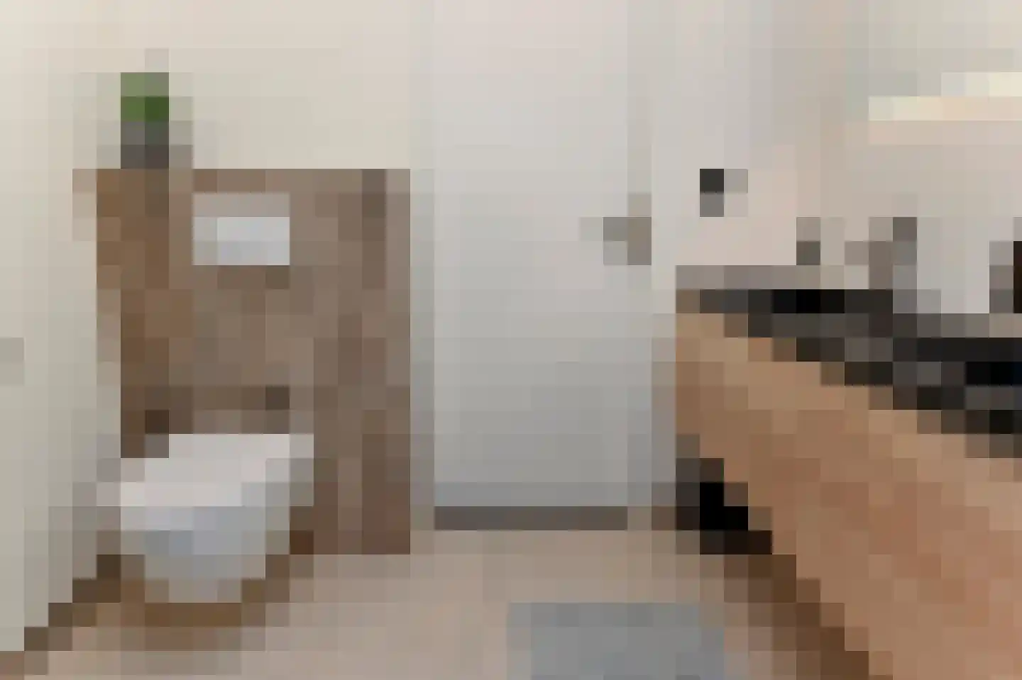 Rederserf 25 Den Haag thumbnail 19