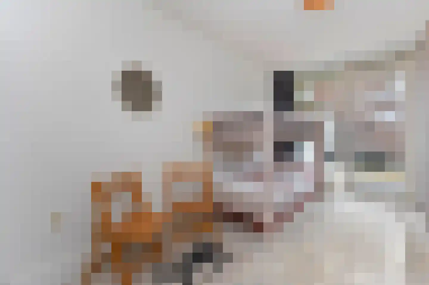 Rederserf 25 Den Haag thumbnail 21