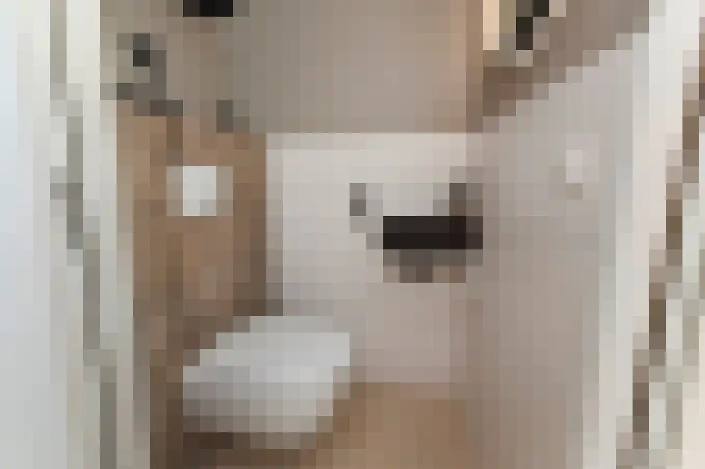 Rederserf 25 Den Haag thumbnail 7