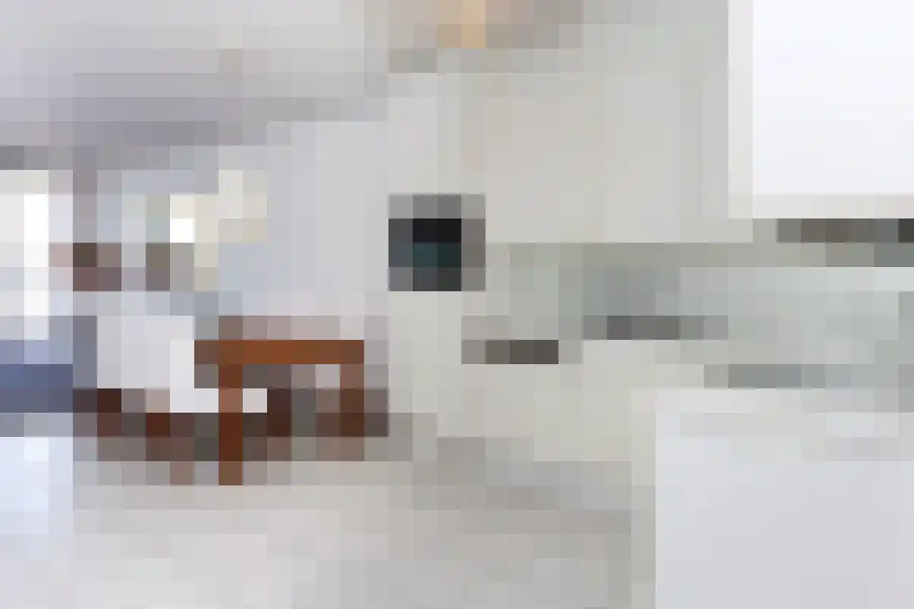 Rederserf 258 Den Haag thumbnail 10
