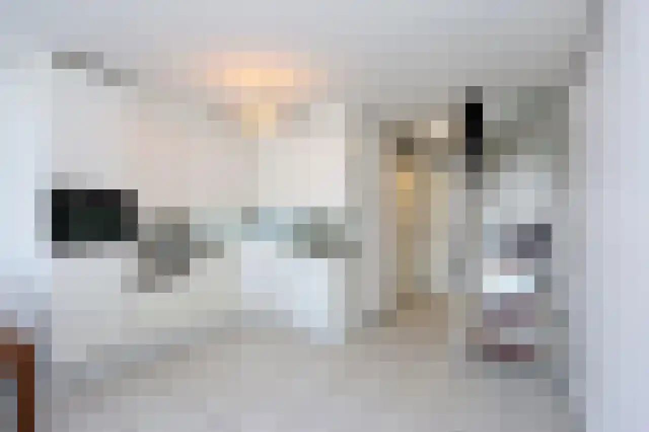 Rederserf 258 Den Haag thumbnail 12
