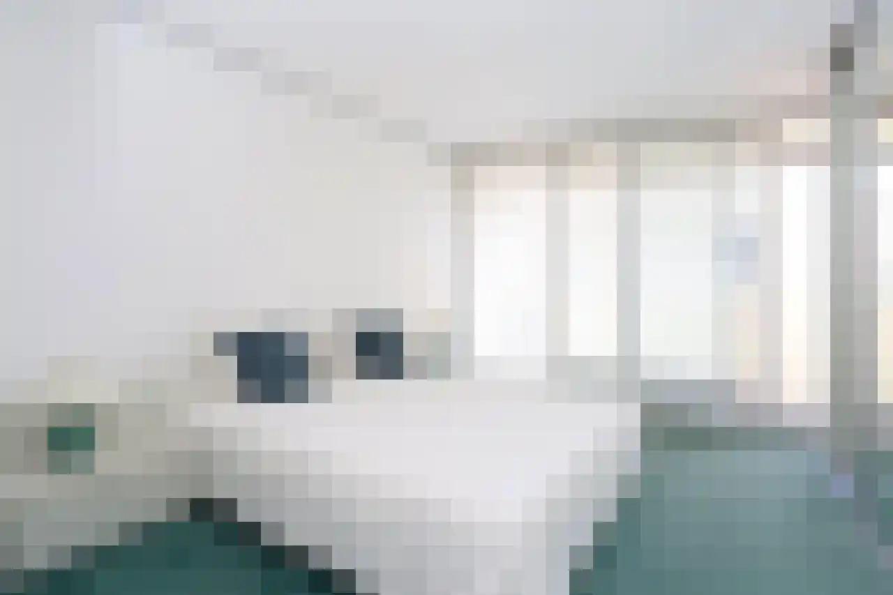 Rederserf 258 Den Haag thumbnail 13