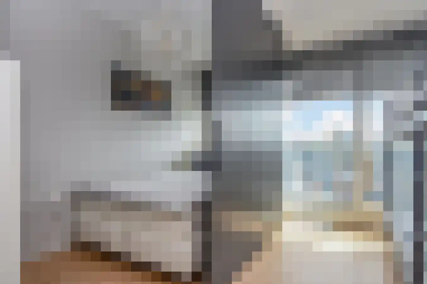 Rederserf 36 Den Haag thumbnail 12