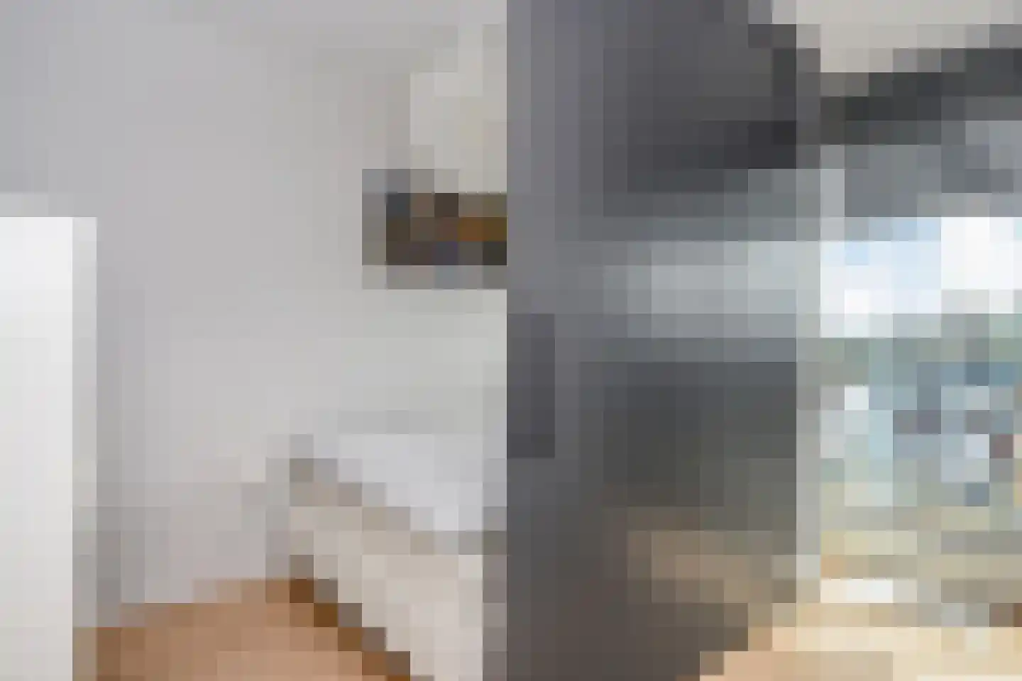 Rederserf 36 Den Haag thumbnail 13