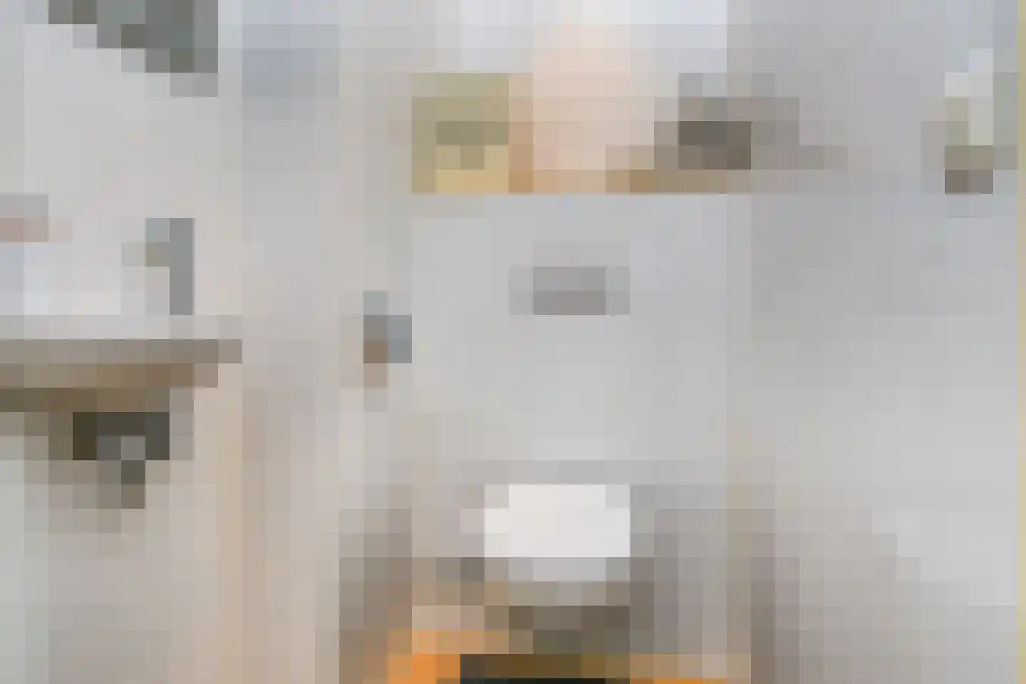 Rederserf 36 Den Haag thumbnail 46