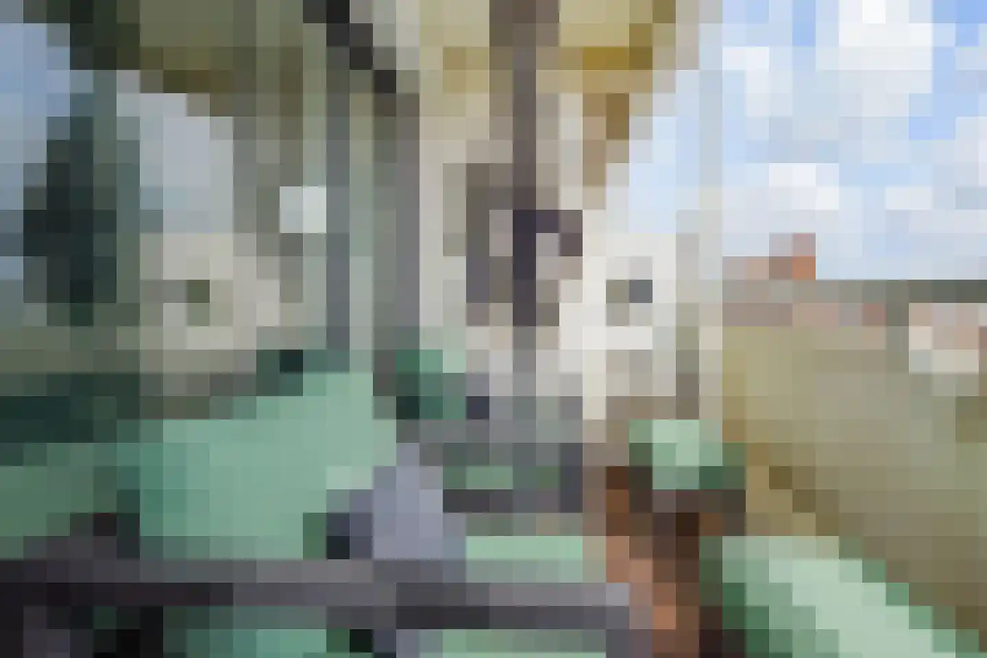 Rederserf 36 Den Haag thumbnail 54