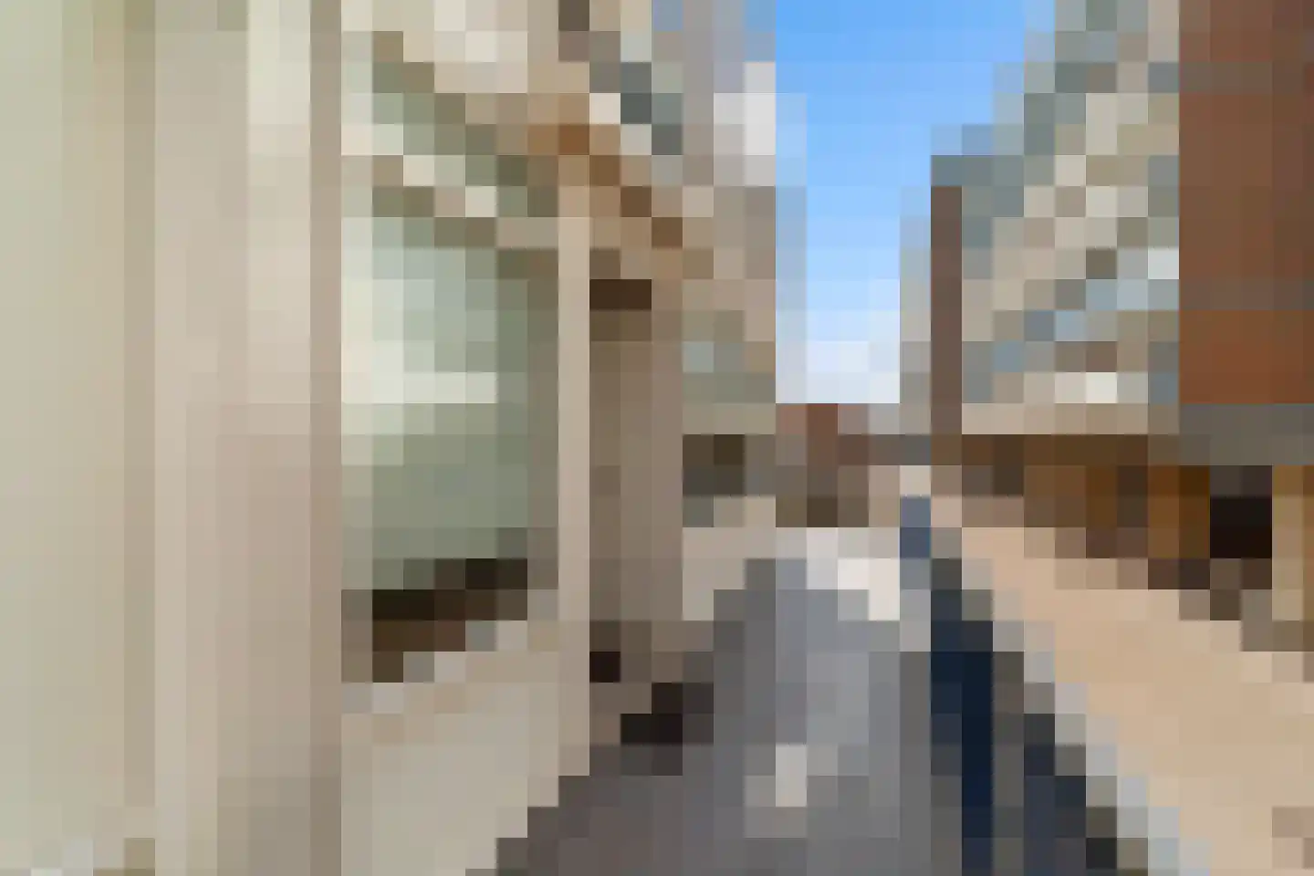 Rederserf 43 Den Haag thumbnail 11
