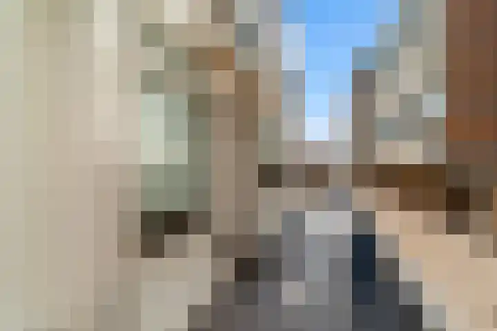 Rederserf 43 Den Haag thumbnail 11