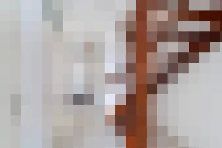 Rederserf 43 Den Haag thumbnail 15