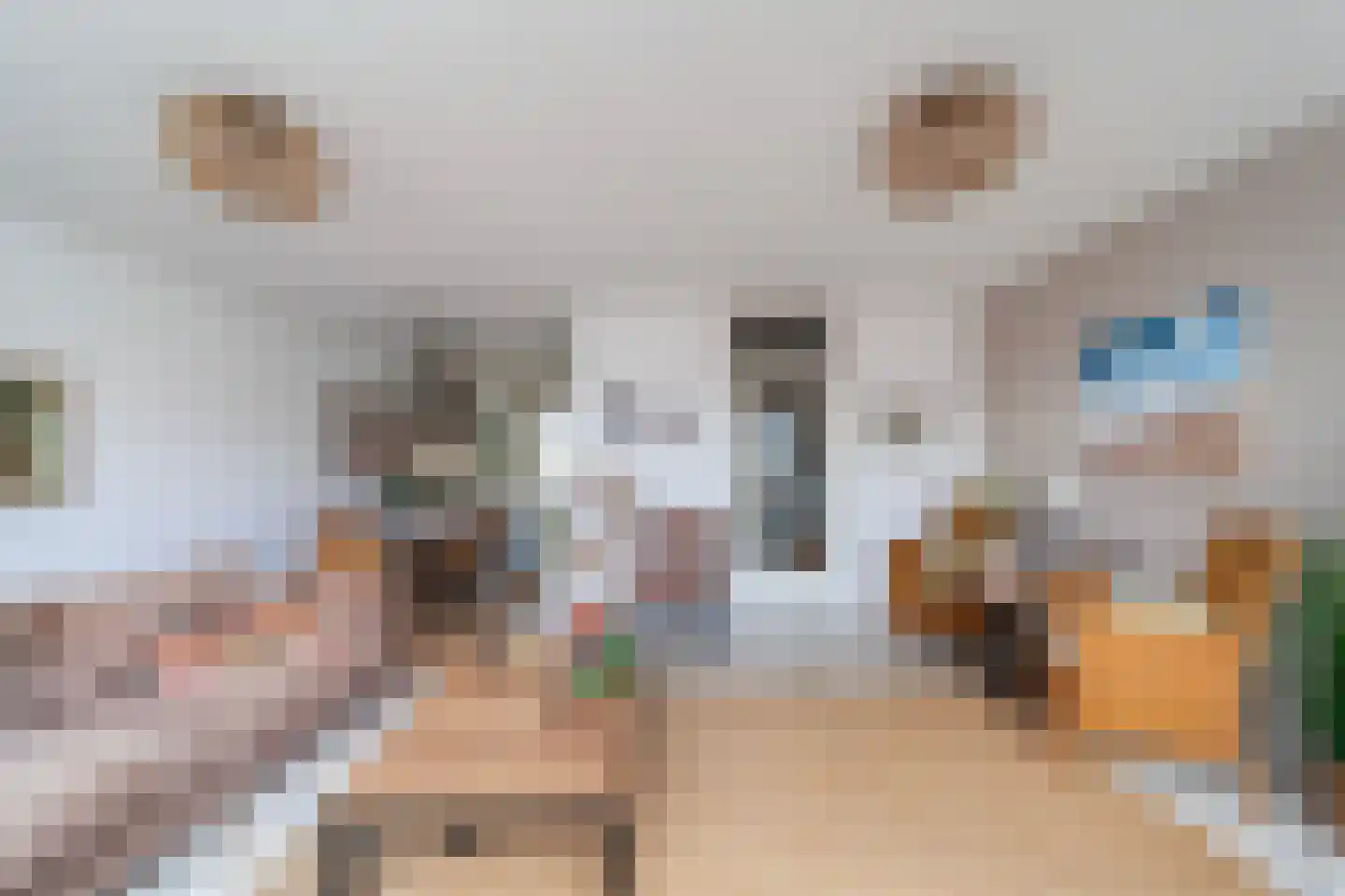 Rederserf 43 Den Haag thumbnail 19