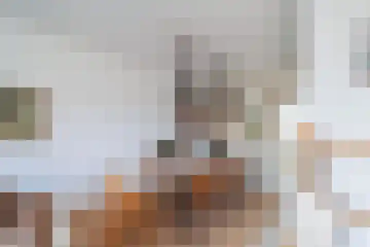 Rederserf 43 Den Haag thumbnail 21
