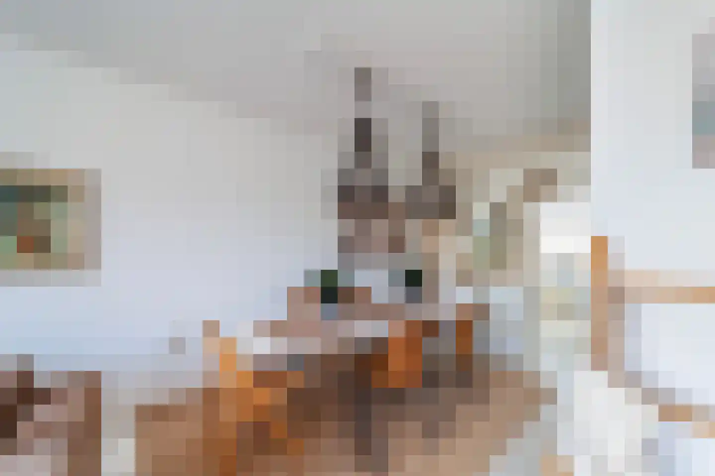 Rederserf 43 Den Haag thumbnail 21