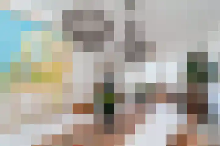 Rederserf 43 Den Haag thumbnail 22