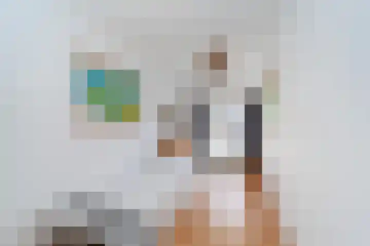 Rederserf 43 Den Haag thumbnail 28