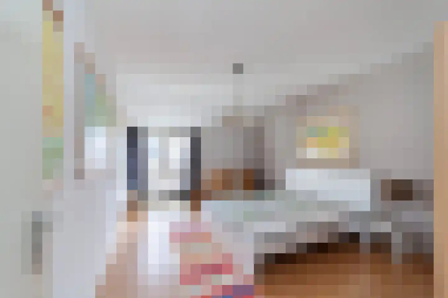 Rederserf 43 Den Haag thumbnail 29