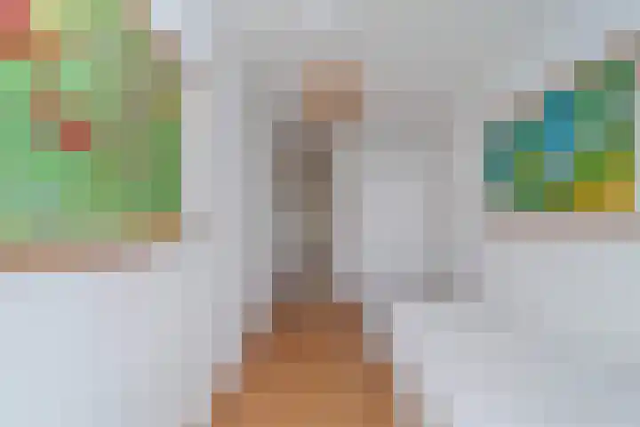 Rederserf 43 Den Haag thumbnail 29