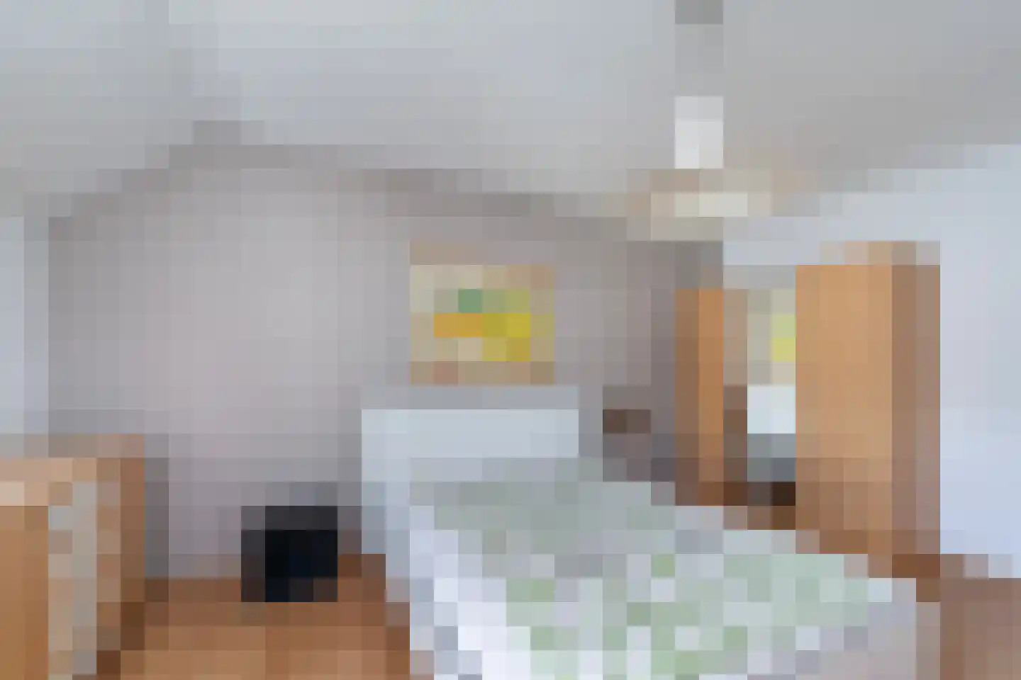 Rederserf 43 Den Haag thumbnail 30
