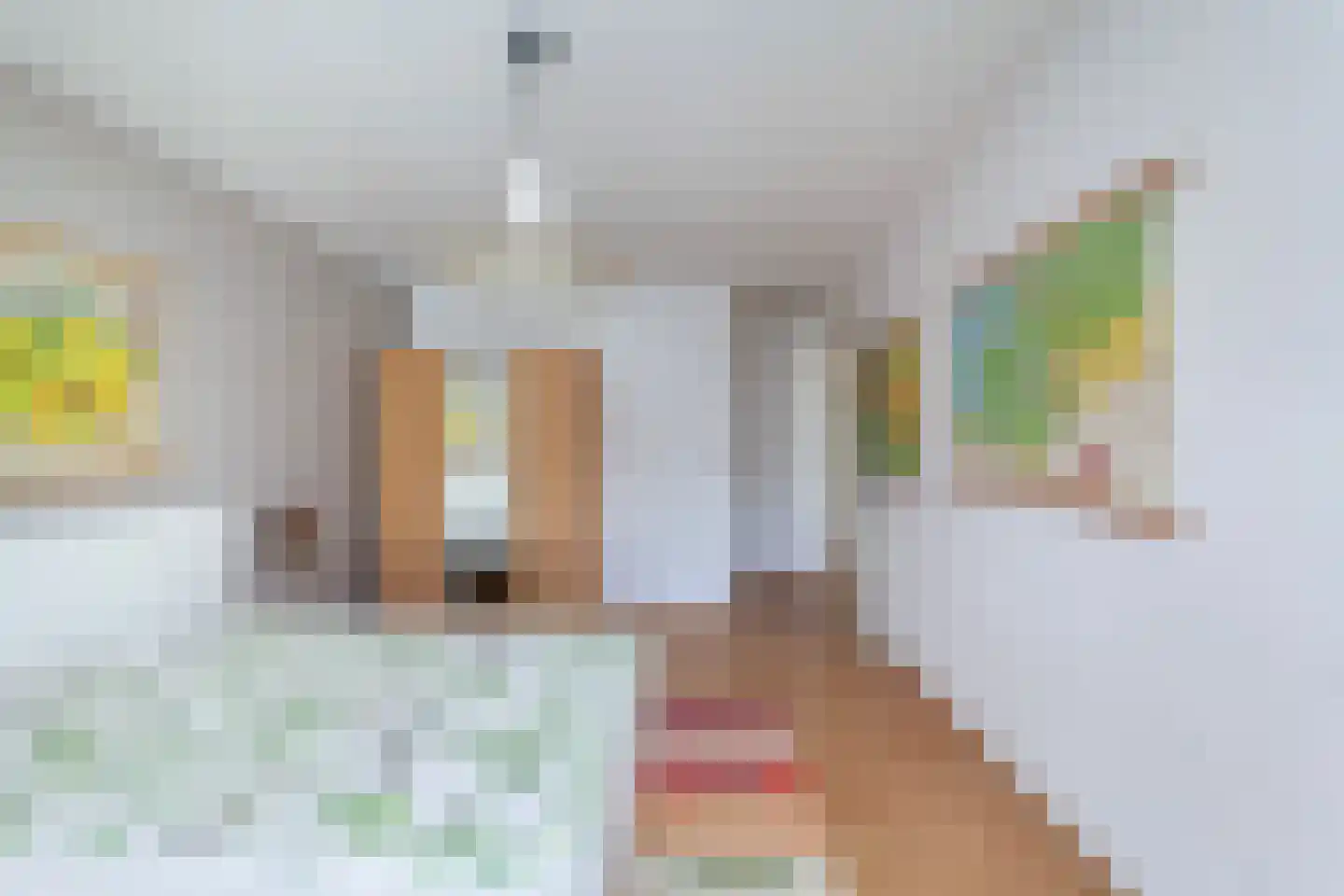 Rederserf 43 Den Haag thumbnail 31