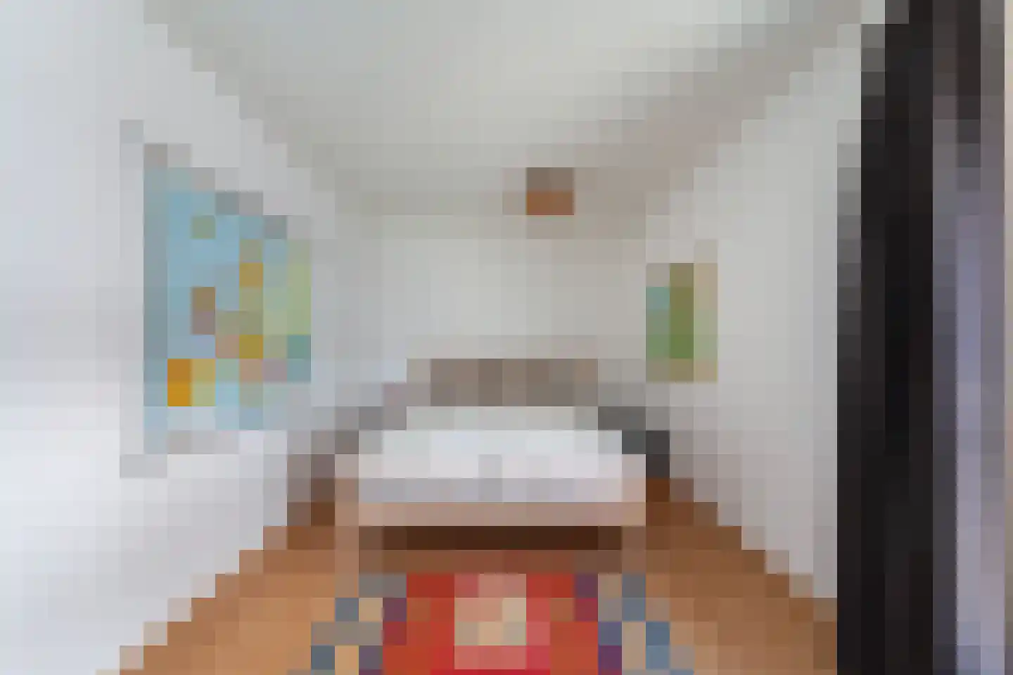 Rederserf 43 Den Haag thumbnail 33