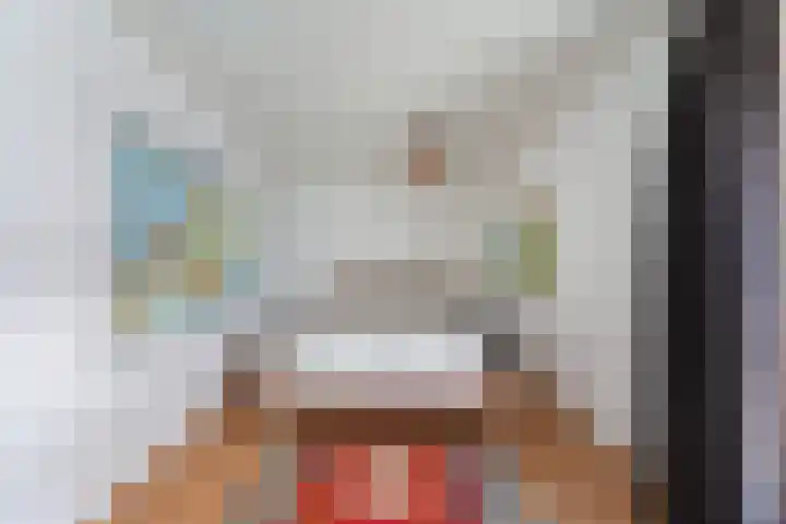 Rederserf 43 Den Haag thumbnail 34