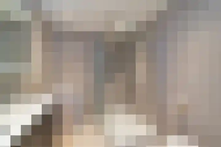 Rederserf 43 Den Haag thumbnail 36