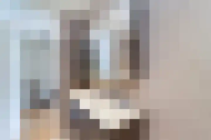 Rederserf 43 Den Haag thumbnail 37