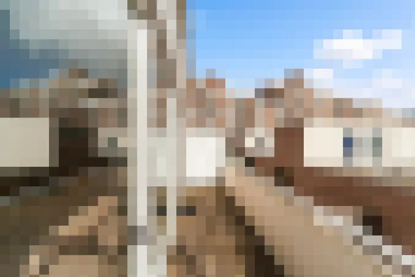 Rederserf 43 Den Haag thumbnail 37
