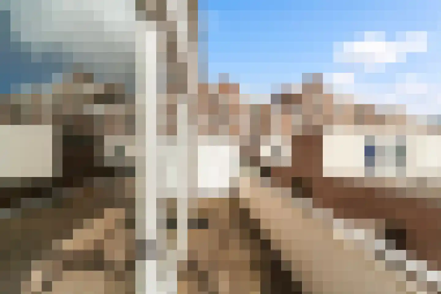 Rederserf 43 Den Haag thumbnail 39