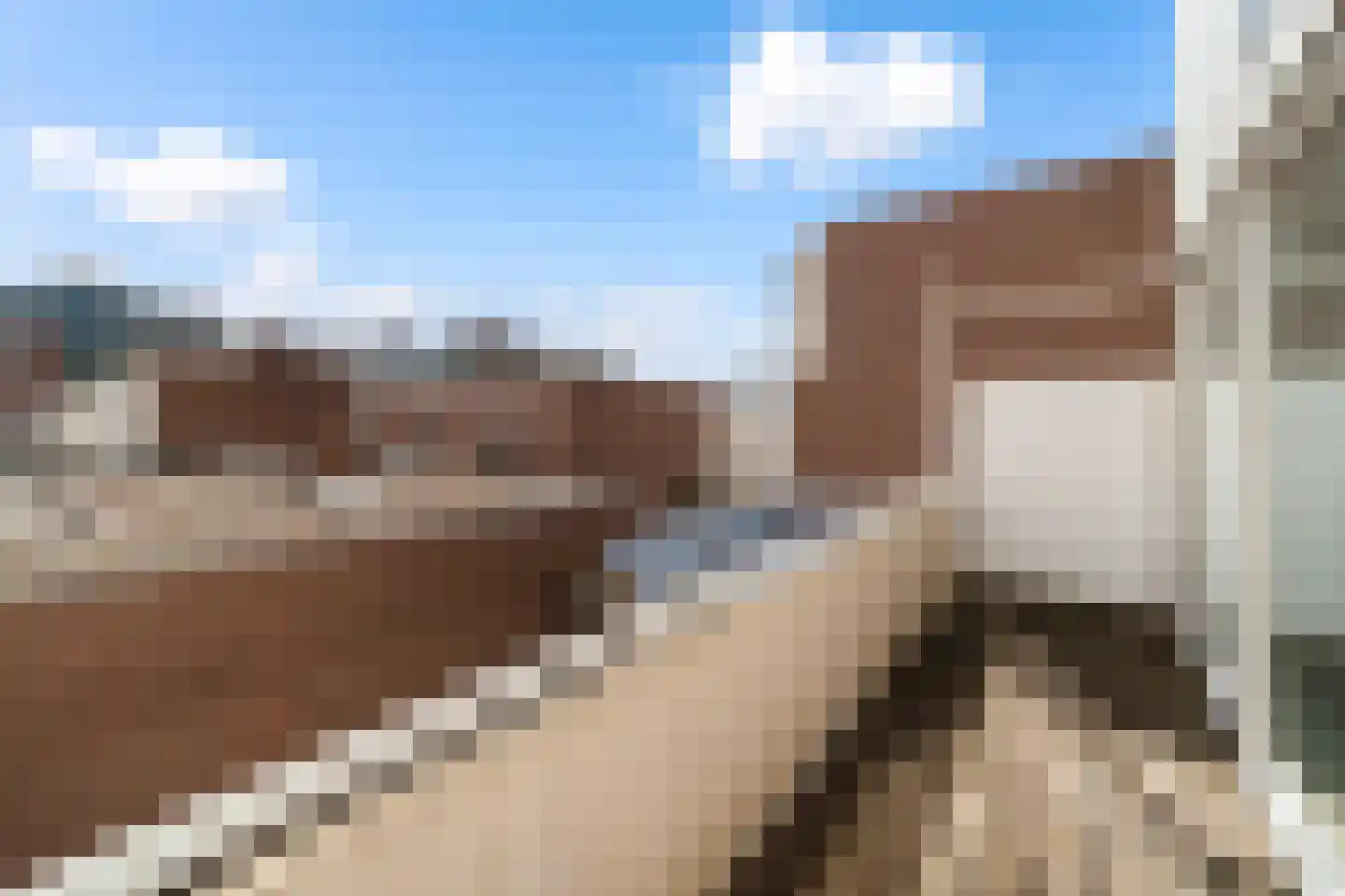 Rederserf 43 Den Haag thumbnail 39