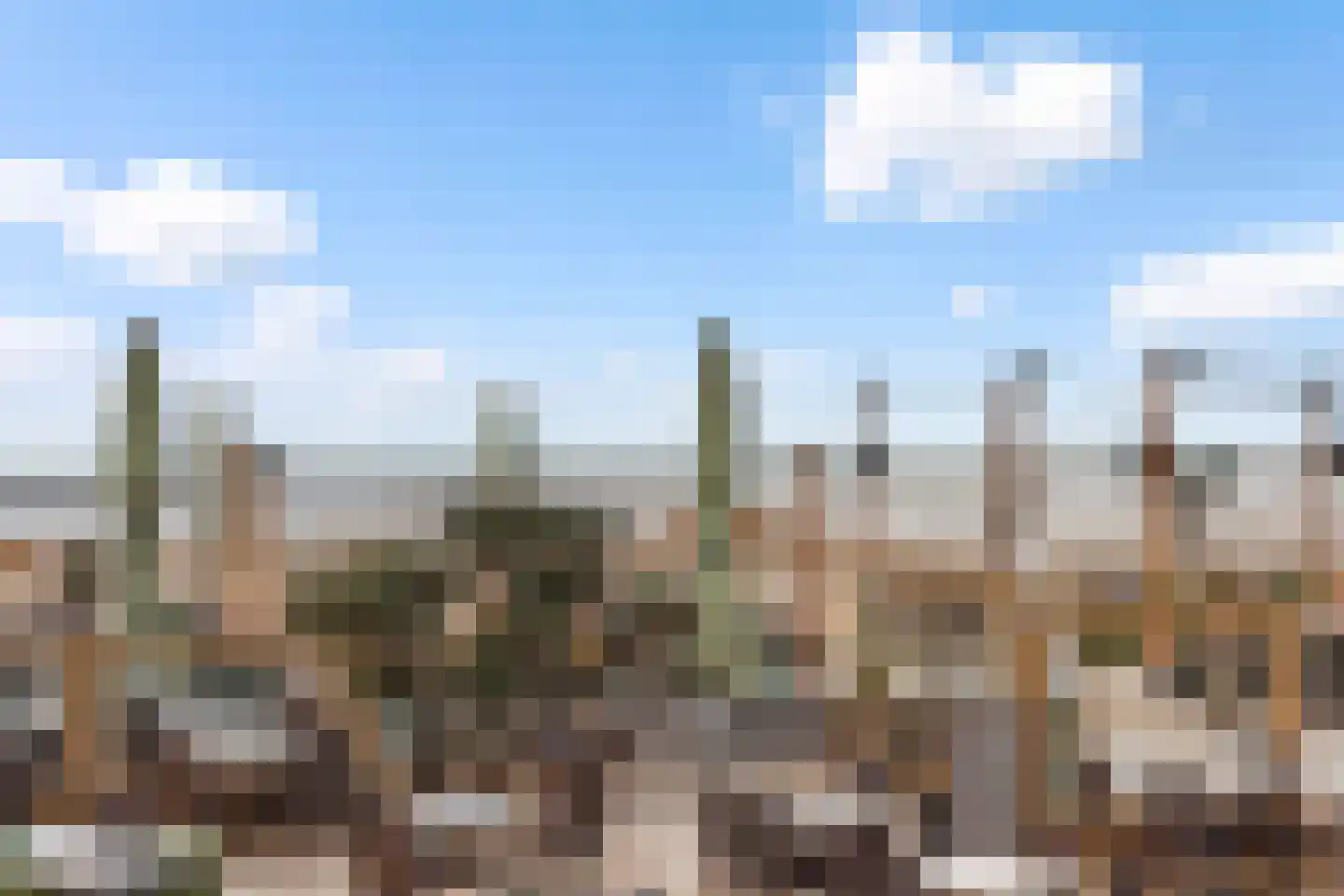 Rederserf 43 Den Haag thumbnail 42