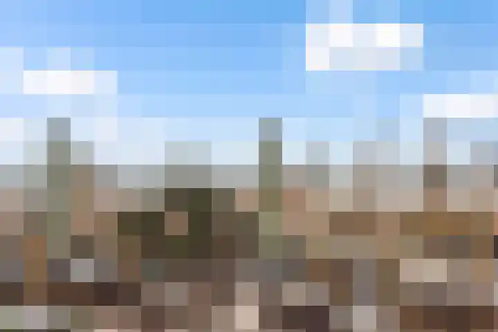Rederserf 43 Den Haag thumbnail 44