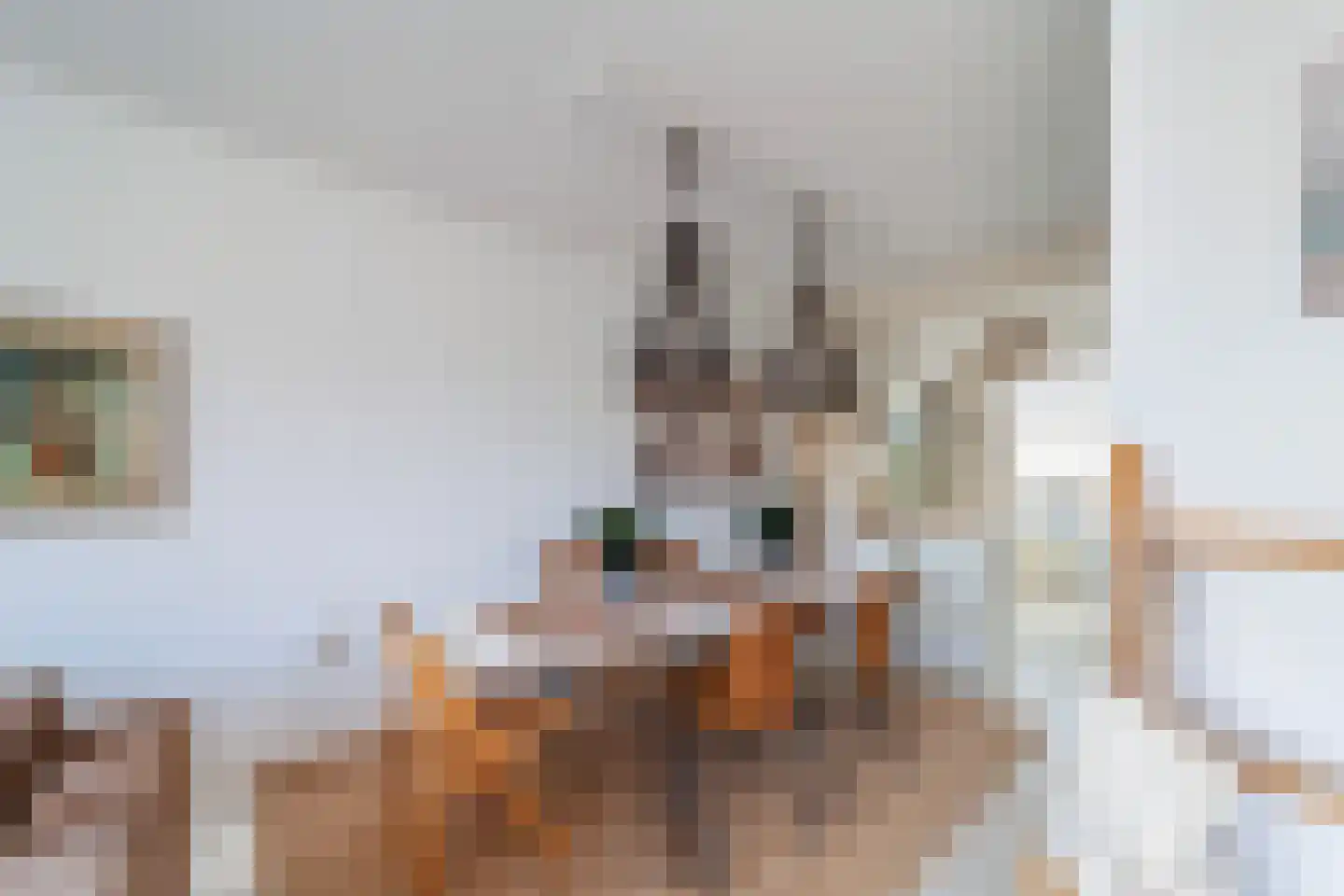 Rederserf 43 Den Haag thumbnail 7