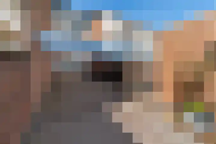 Rederserf 43 Den Haag thumbnail 9