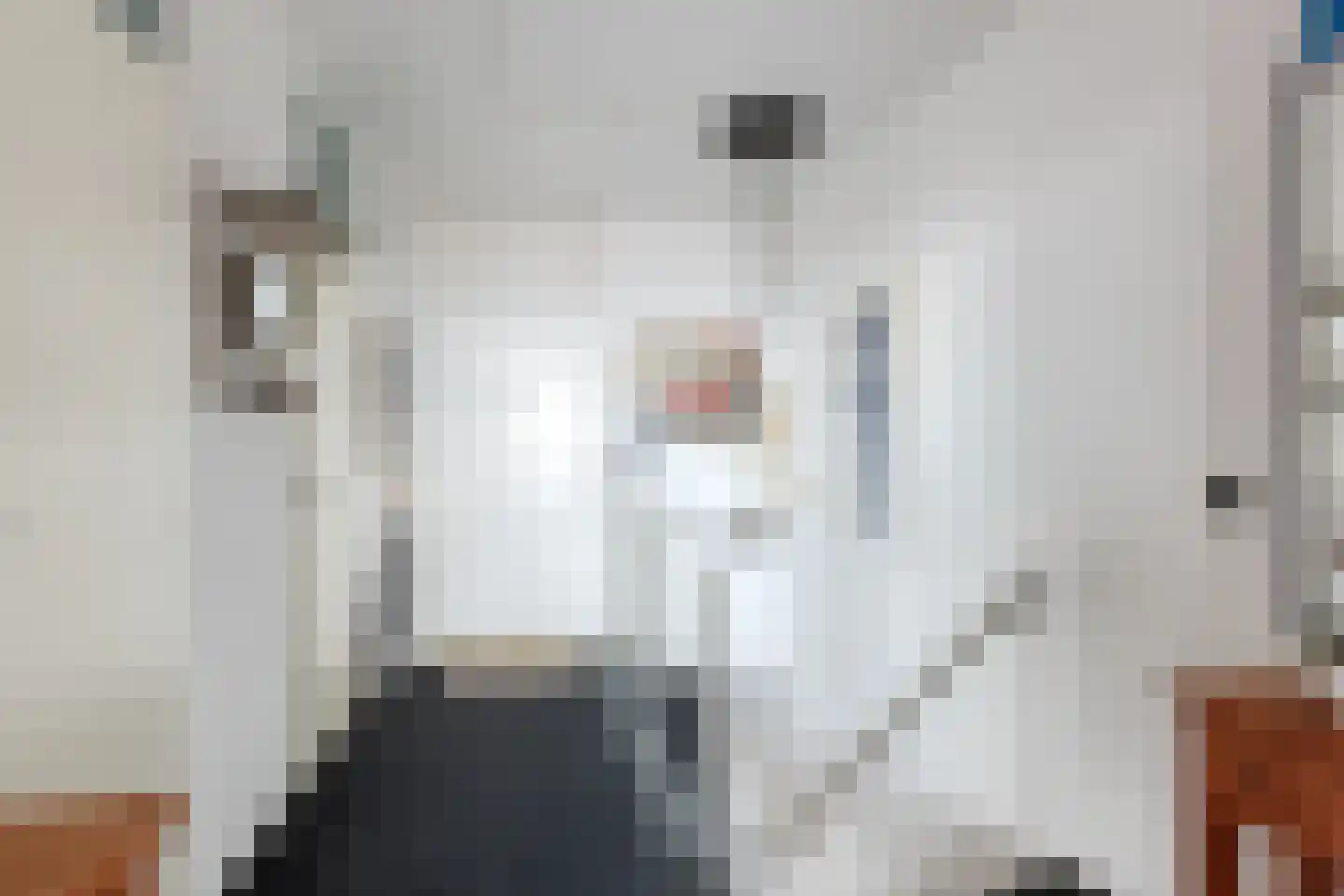 Rederserf 6 Den Haag thumbnail 23