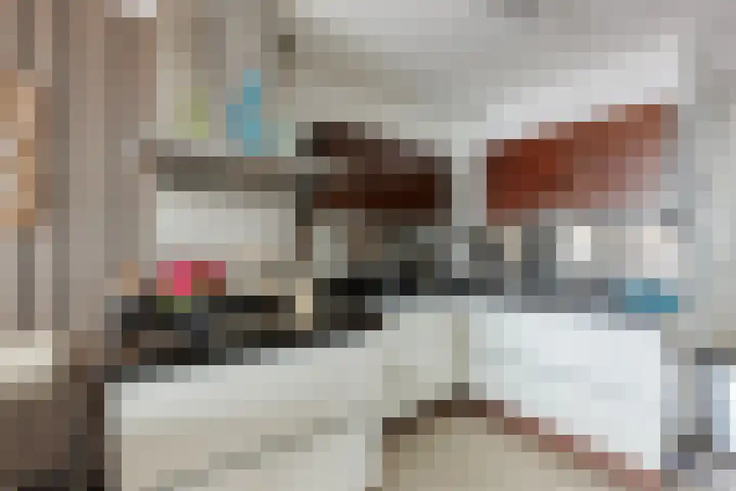 Rederserf 6 Den Haag thumbnail 4