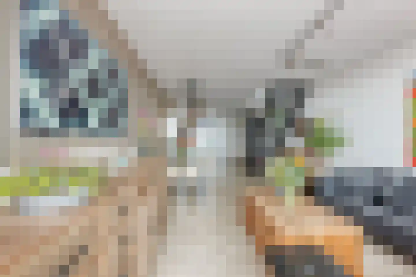 Rederserf 6 Den Haag thumbnail 5
