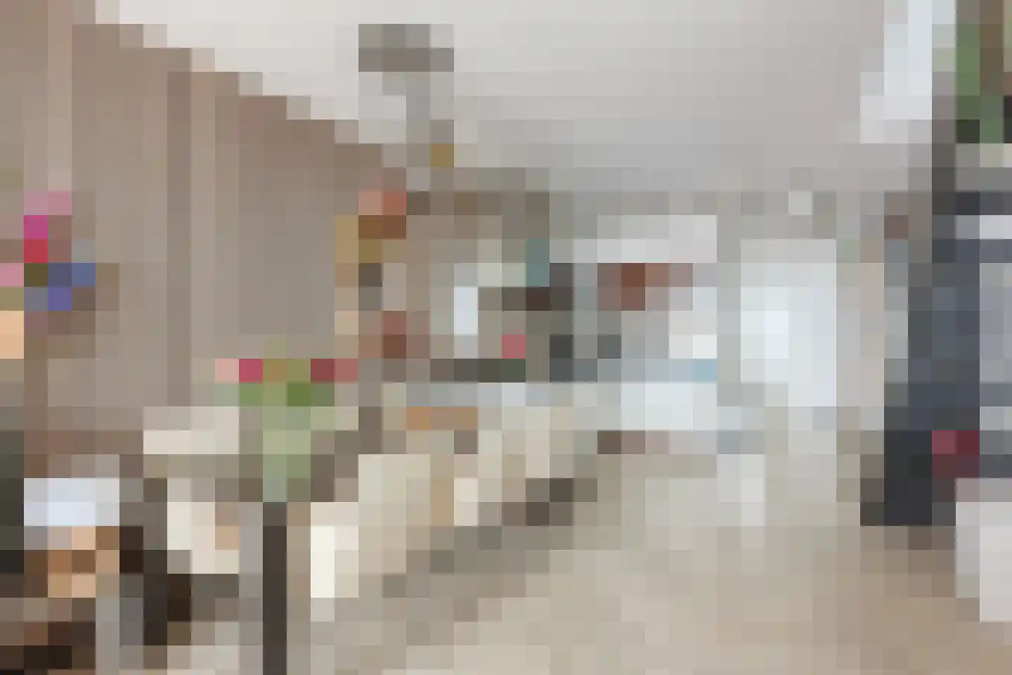 Rederserf 6 Den Haag thumbnail 7