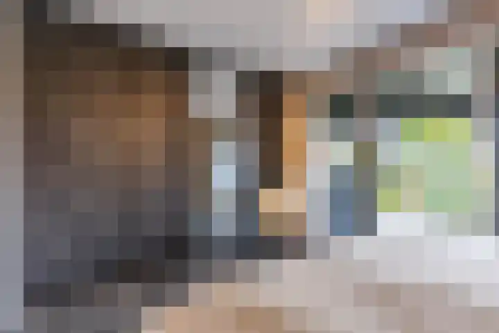 Rederssingel 15 Blauwestad thumbnail 24