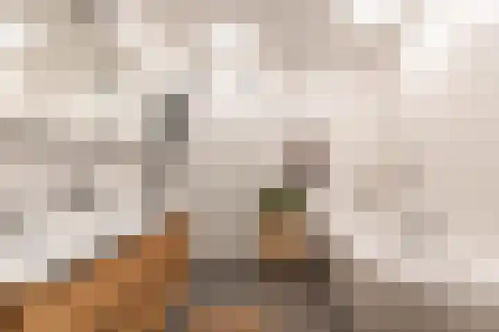 Rederssingel 15 Blauwestad thumbnail 27