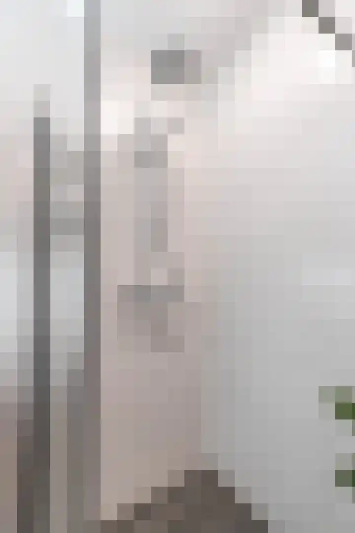 Rederssingel 15 Blauwestad thumbnail 29