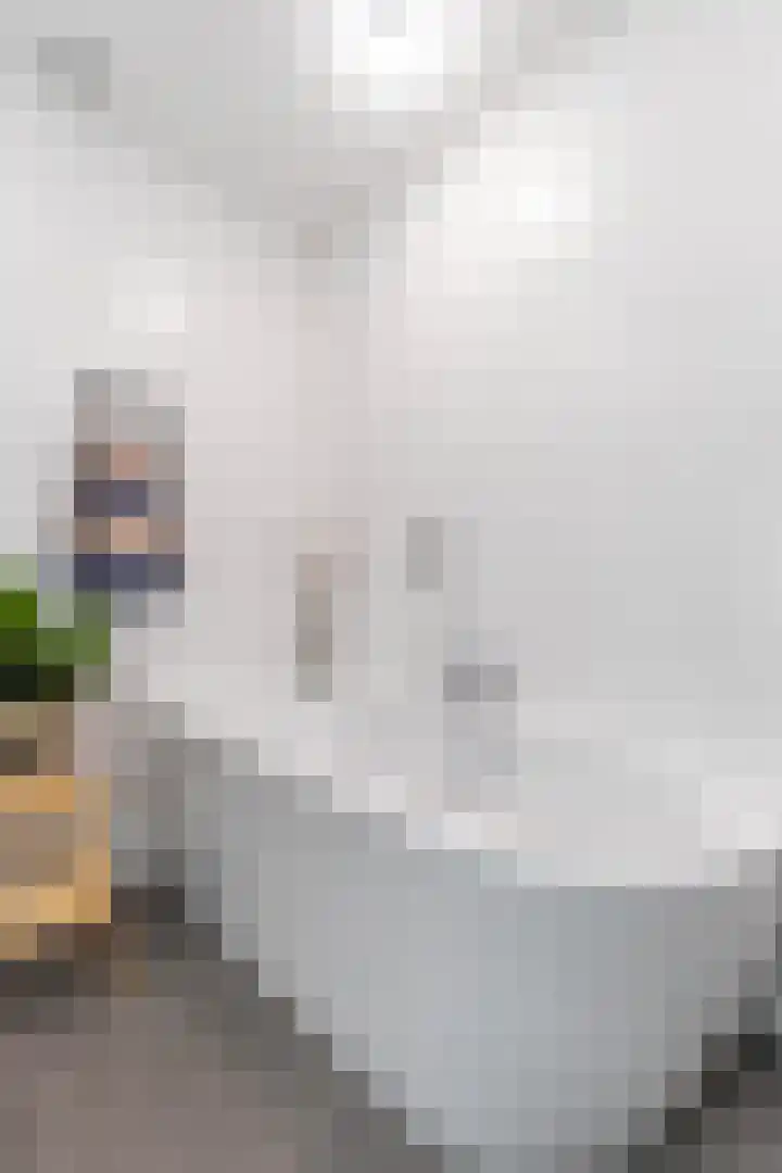 Rederssingel 15 Blauwestad thumbnail 30