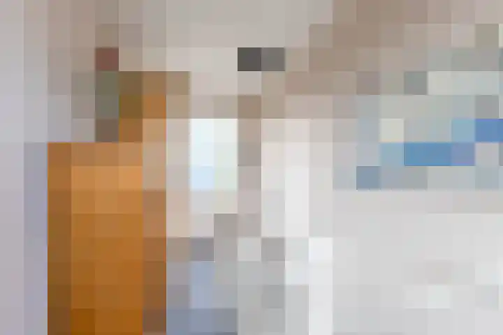 Rederssingel 15 Blauwestad thumbnail 35