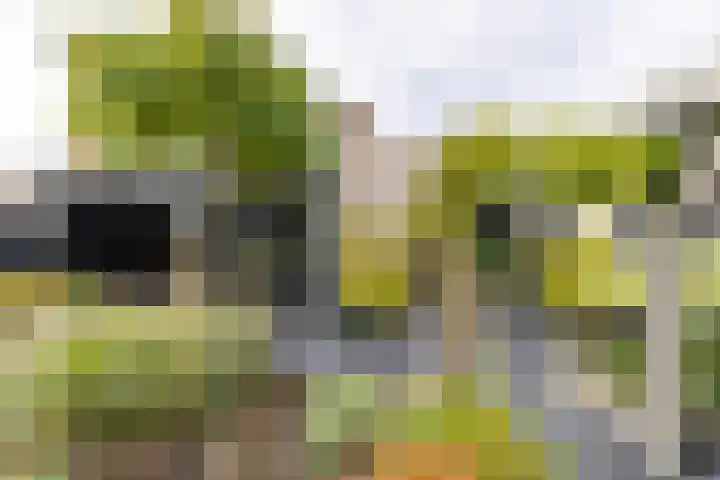 Rederssingel 15 Blauwestad thumbnail 44