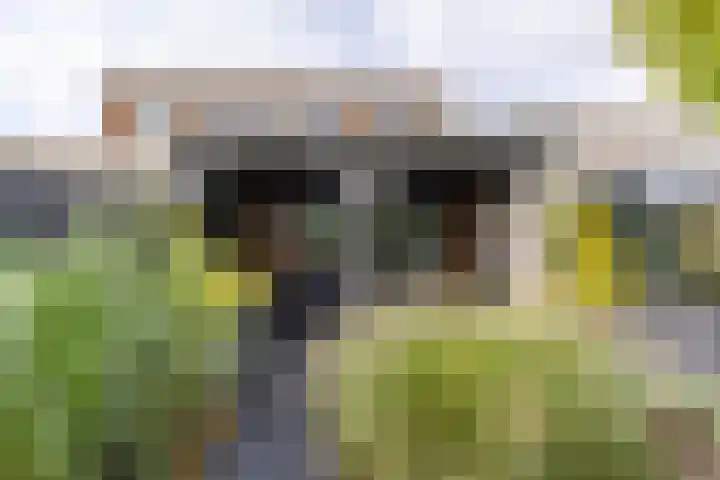 Rederssingel 15 Blauwestad thumbnail 45