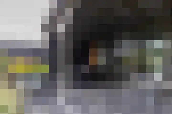 Rederssingel 15 Blauwestad thumbnail 46