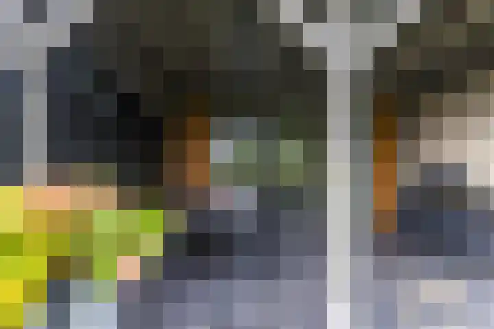 Rederssingel 15 Blauwestad thumbnail 47