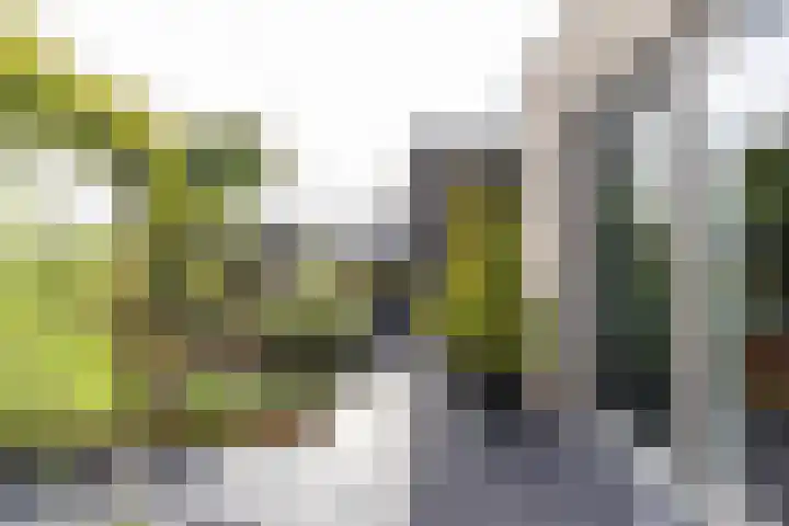 Rederssingel 15 Blauwestad thumbnail 48
