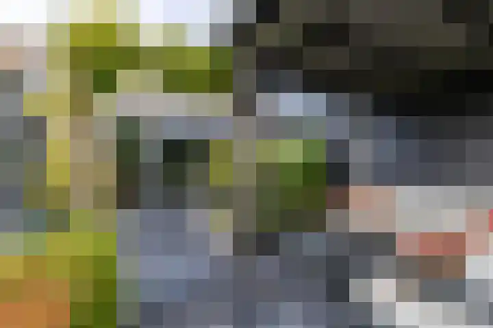 Rederssingel 15 Blauwestad thumbnail 49