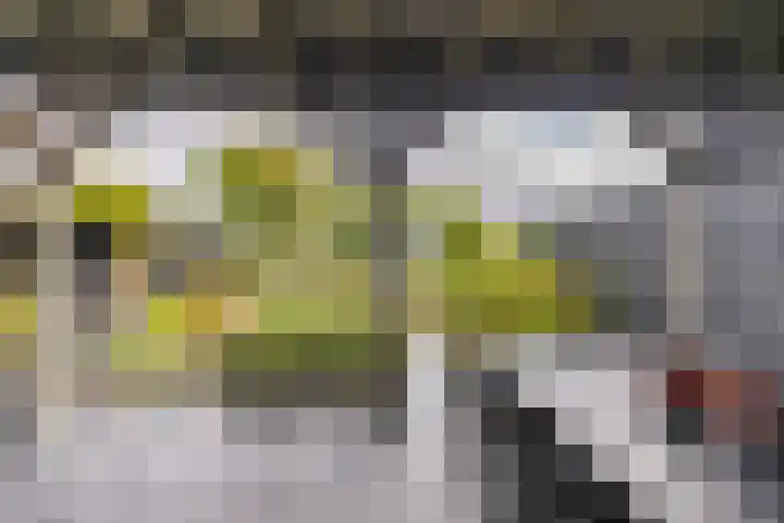 Rederssingel 15 Blauwestad thumbnail 50