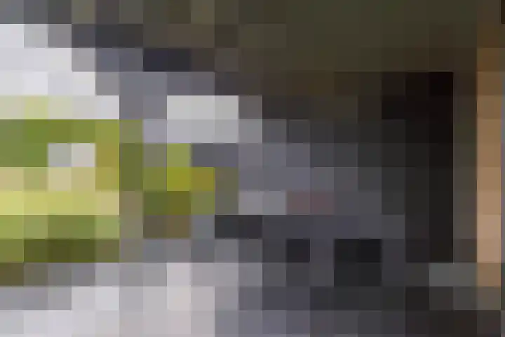 Rederssingel 15 Blauwestad thumbnail 51